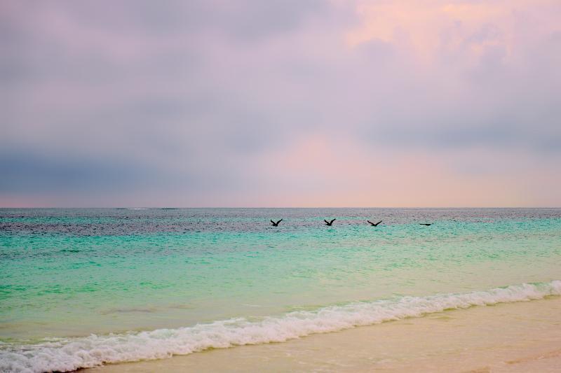 Casa Chable Hotel Punta Allen Ngoại thất bức ảnh