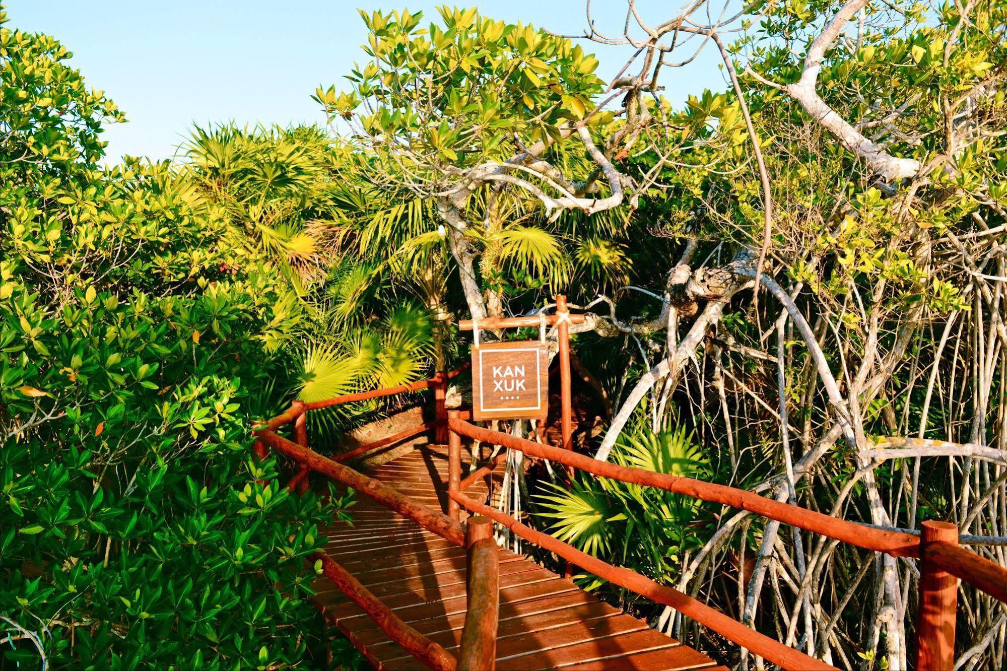 Casa Chable Hotel Punta Allen Ngoại thất bức ảnh