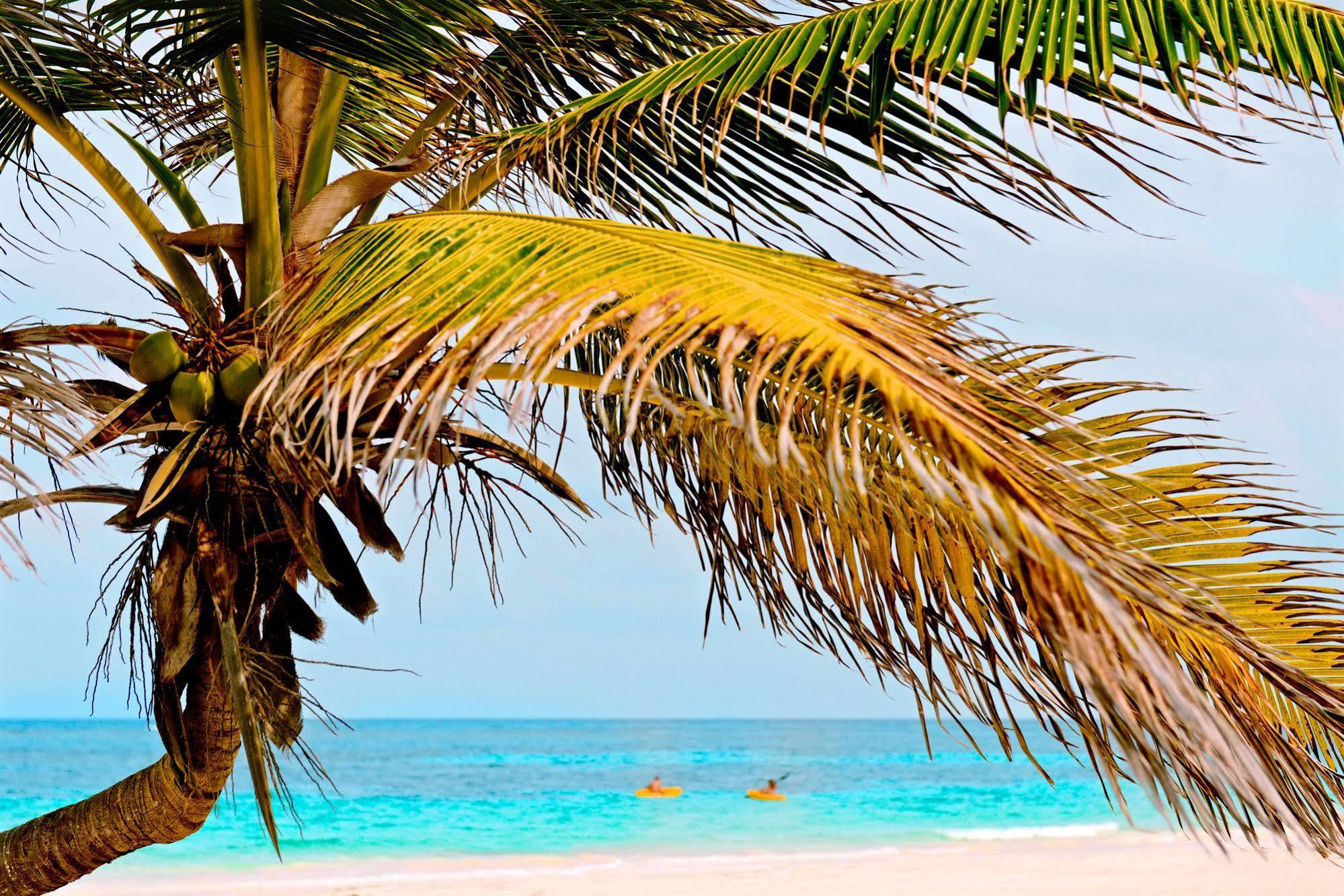Casa Chable Hotel Punta Allen Ngoại thất bức ảnh